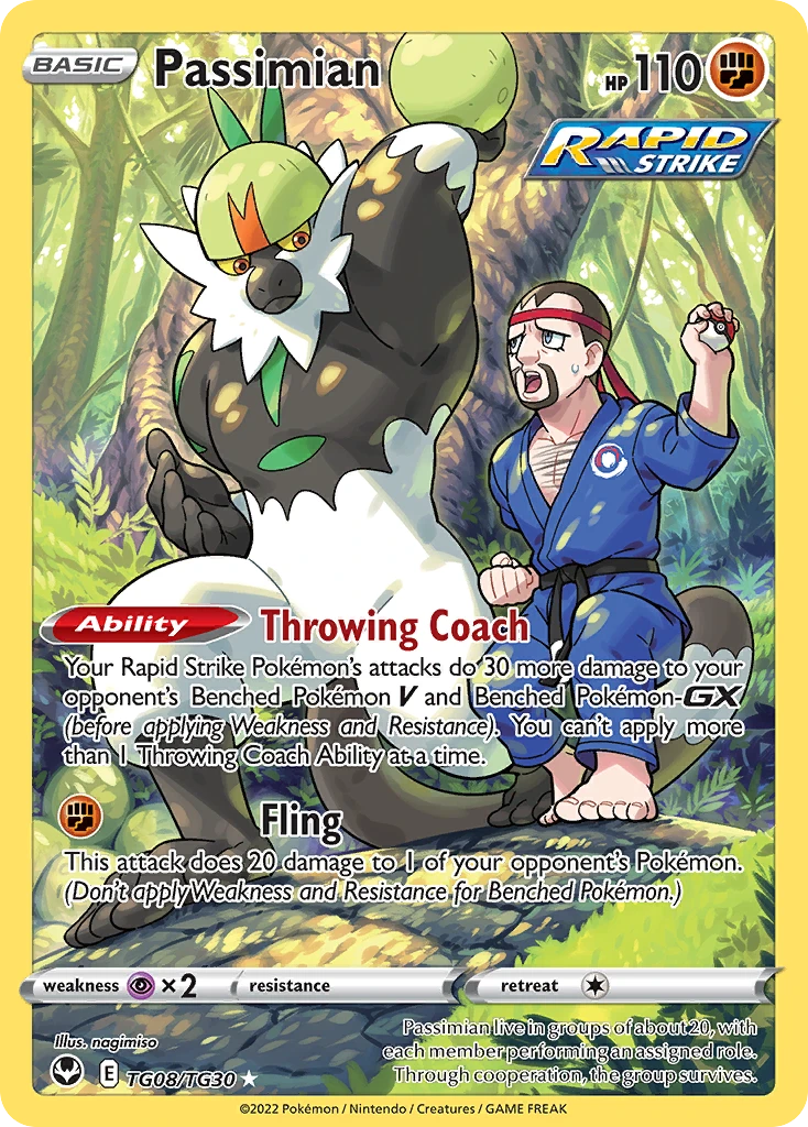 Passimian – Tempesta Argentata Galleria Allenatori TG08