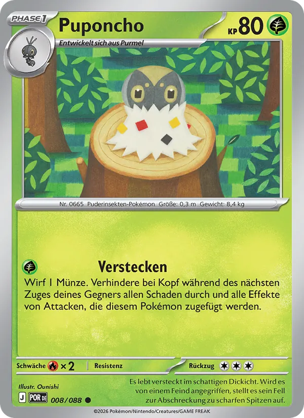 Puponcho – Optimale Ordnung 8