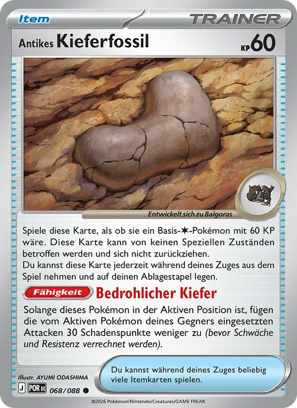 Antikes Kieferfossil – Optimale Ordnung 68