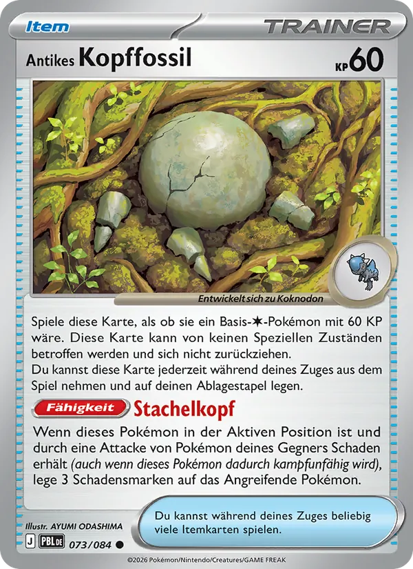 Antikes Kopffossil – Dunkelnacht 73