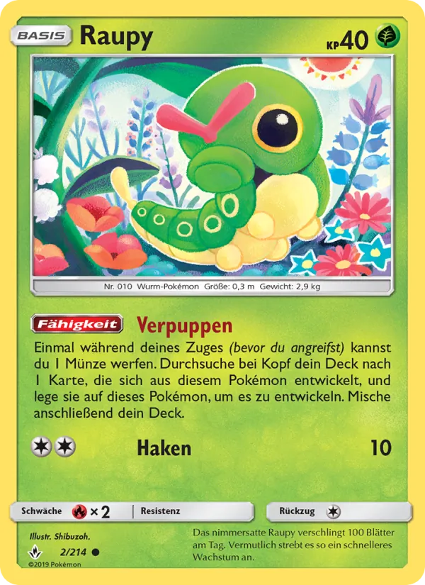 Raupy – Kräfte im Einklang 2