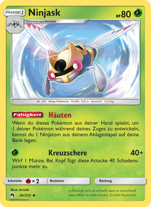 Ninjask – Echo des Donners 30