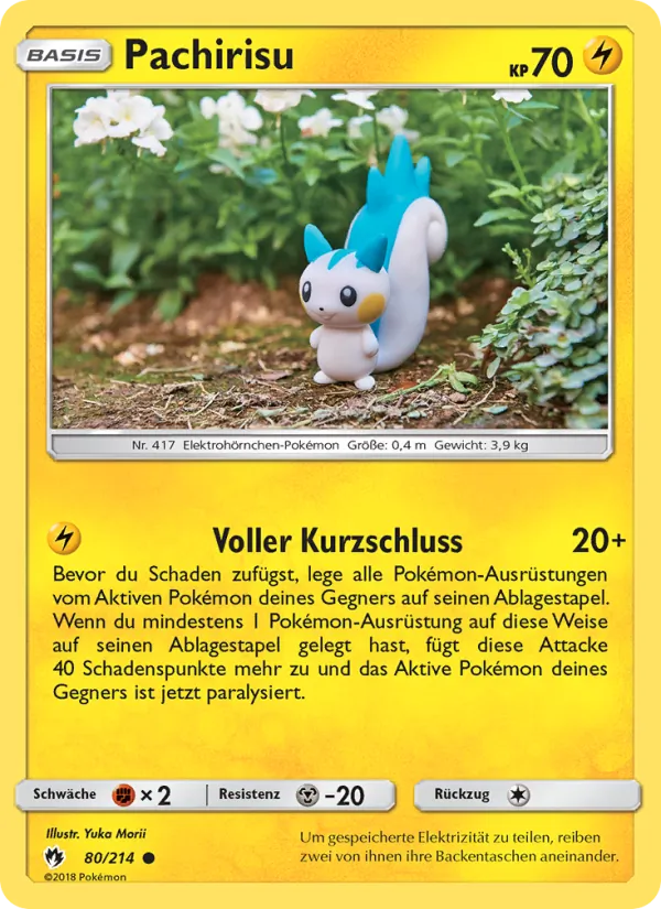 Pachirisu – Echo des Donners 80