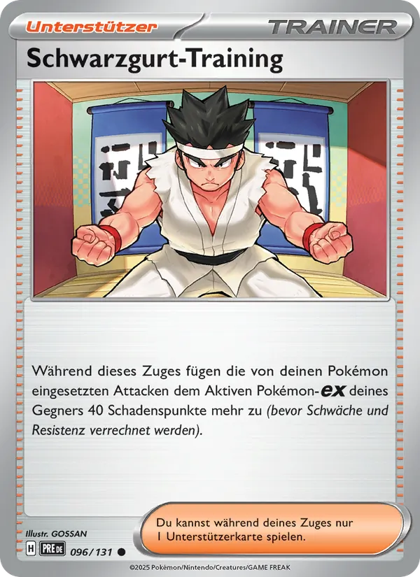 Schwarzgurt-Training – Prismatische Entwicklungen 96