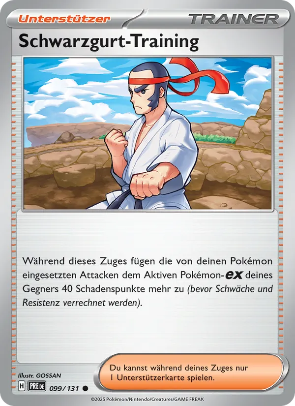 Schwarzgurt-Training – Prismatische Entwicklungen 99