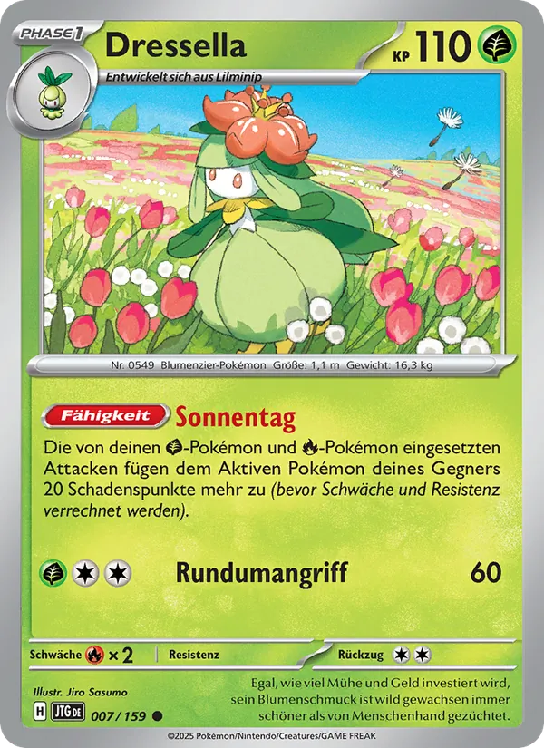 Dressella – Reisegefährten 7