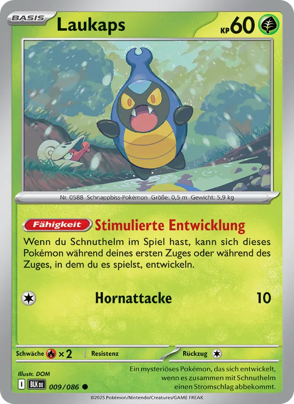 Laukaps – Schwarze Blitze 9