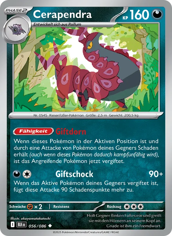 Cerapendra – Schwarze Blitze 56