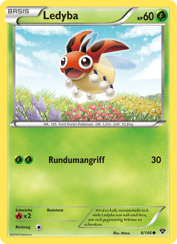 Ledyba – XY 6