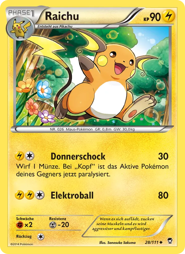Raichu – Fliegende Fäuste 28