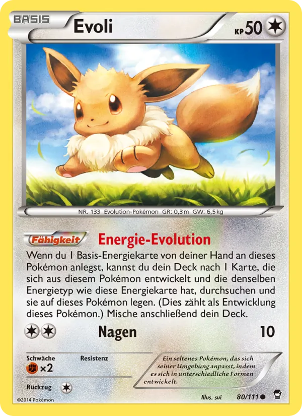 Evoli – Fliegende Fäuste 80