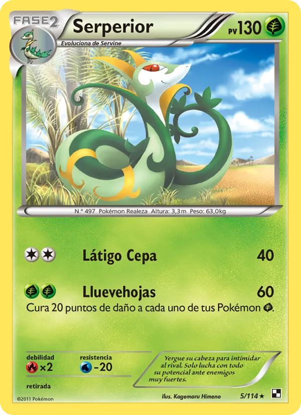 Serperior – Negro y Blanco 5