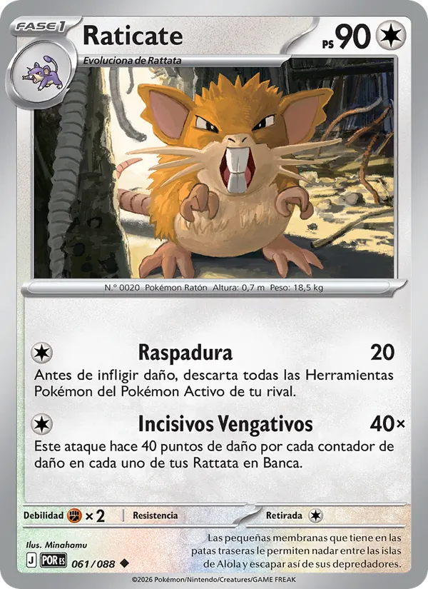 Raticate – Equilibrio Perfecto 61