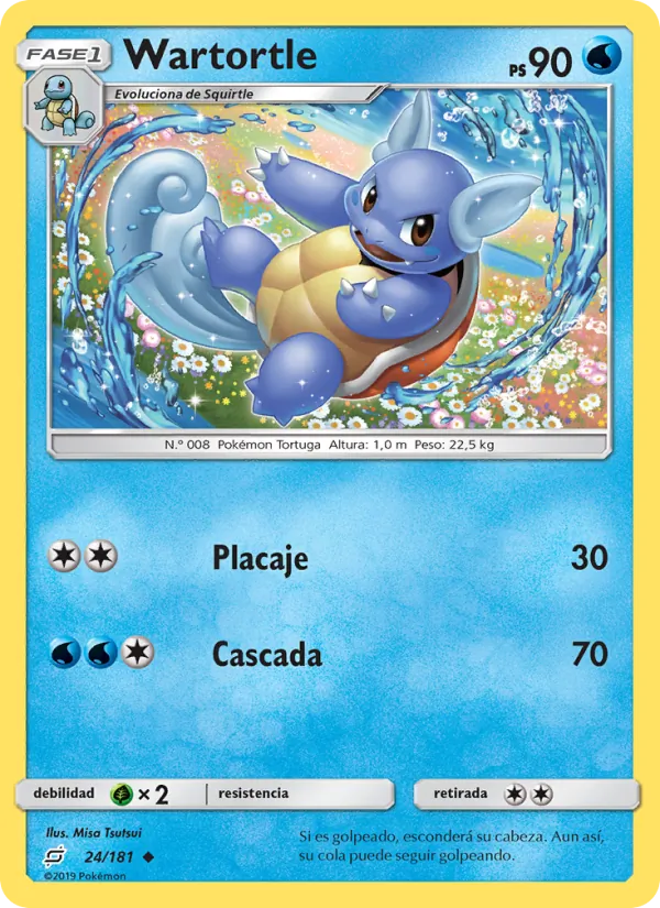 Wartortle – Union de Aliados 24