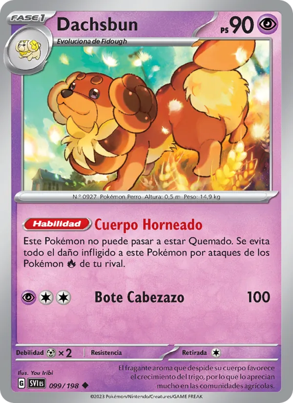 Dachsbun – Escarlata y Púrpura 99