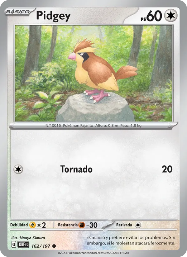 Pidgey – Llamas Obsidianas 162