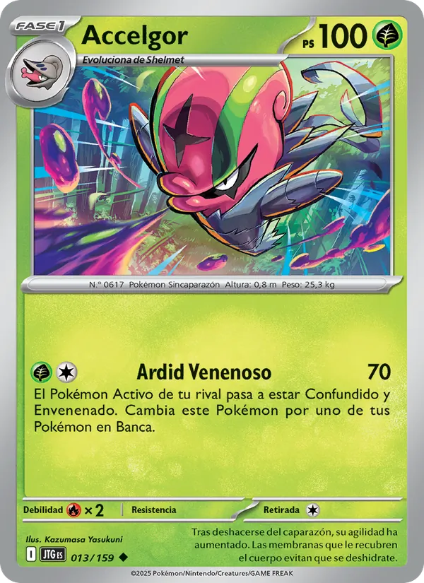 Accelgor – Juntos de Aventuras 13