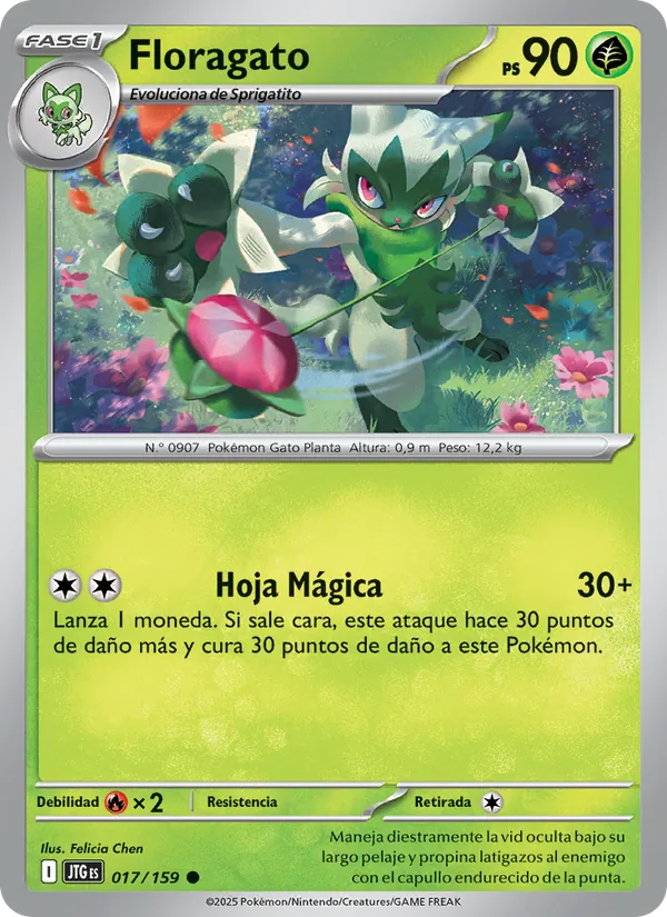 Floragato – Juntos de Aventuras 17