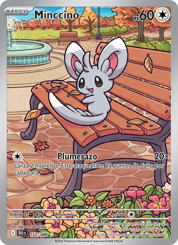 Minccino – Fulgor Negro 152