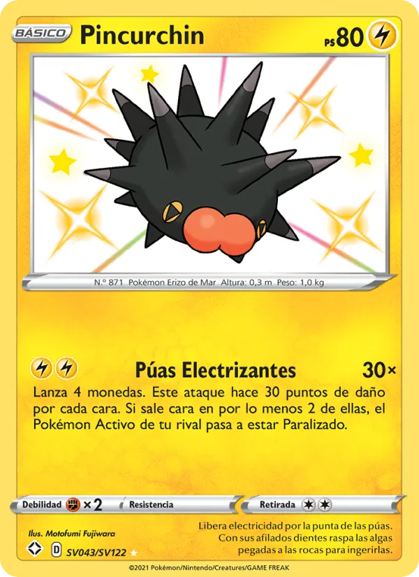 Pincurchin – Destinos Brillantes SV043