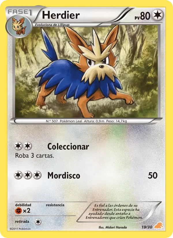 Herdier – Kit de Entrenador BW (Excadrill) 19