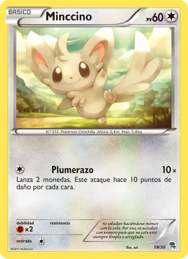 Minccino – Kit de Entrenador XY (Pikachu Enmascarada) 19