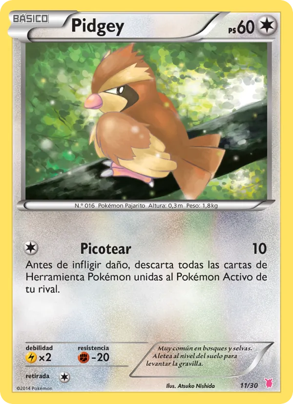Pidgey – Kit de Entrenador XY (Wigglytuff) 11