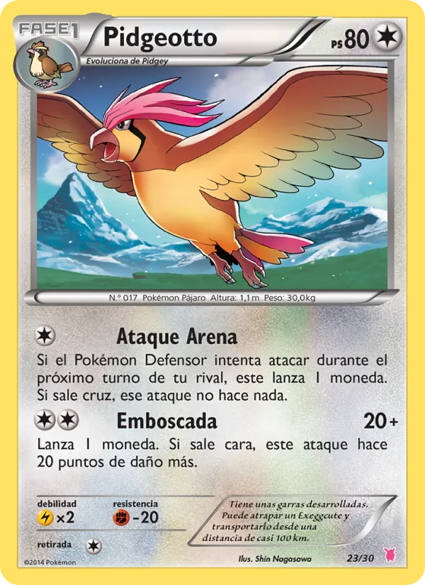 Pidgeotto – Kit de Entrenador XY (Wigglytuff) 23