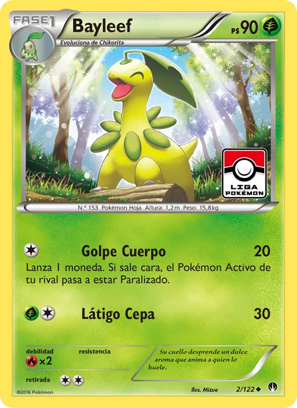Bayleef – TURBOLímite 2