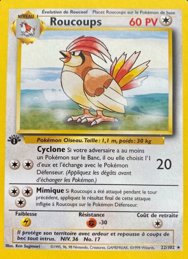 Roucoups – Set de Base 22