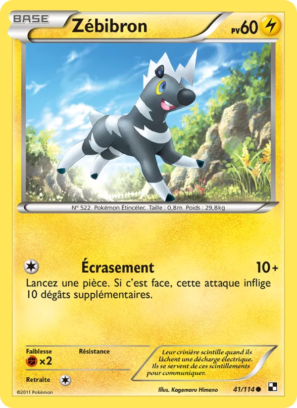 Zébibron – Noir & Blanc 41