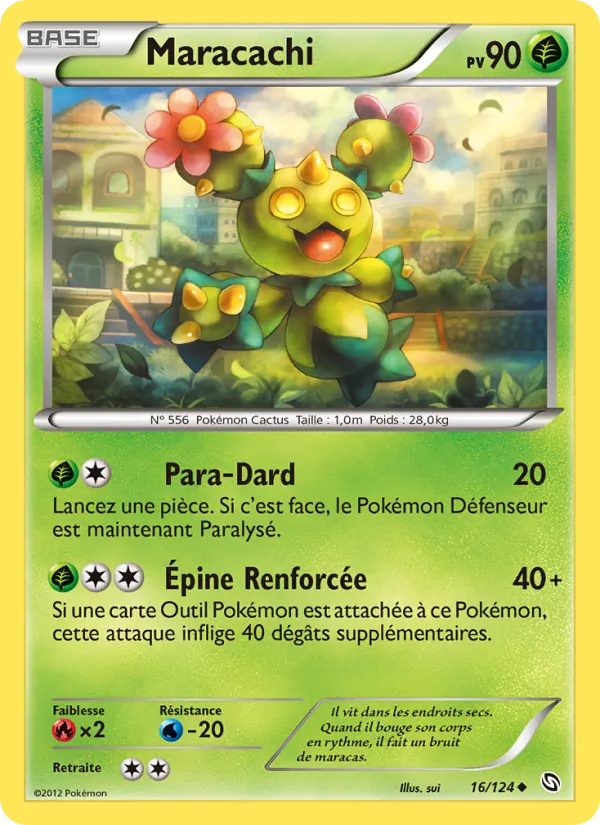 Maracachi – Dragons Éxaltés 16