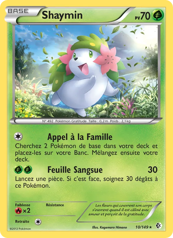 Shaymin – Frontières Franchies 10