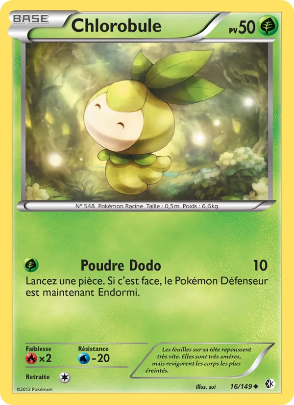 Chlorobule – Frontières Franchies 16