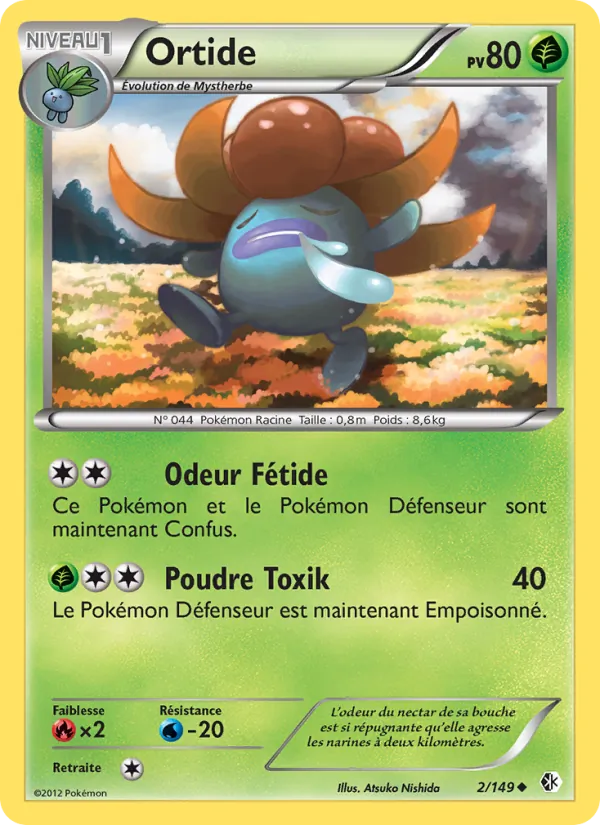 Ortide – Frontières Franchies 2