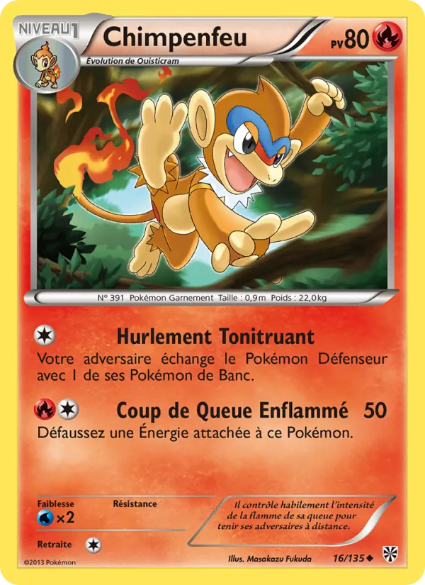 Chimpenfeu – Tempète Plasma 16