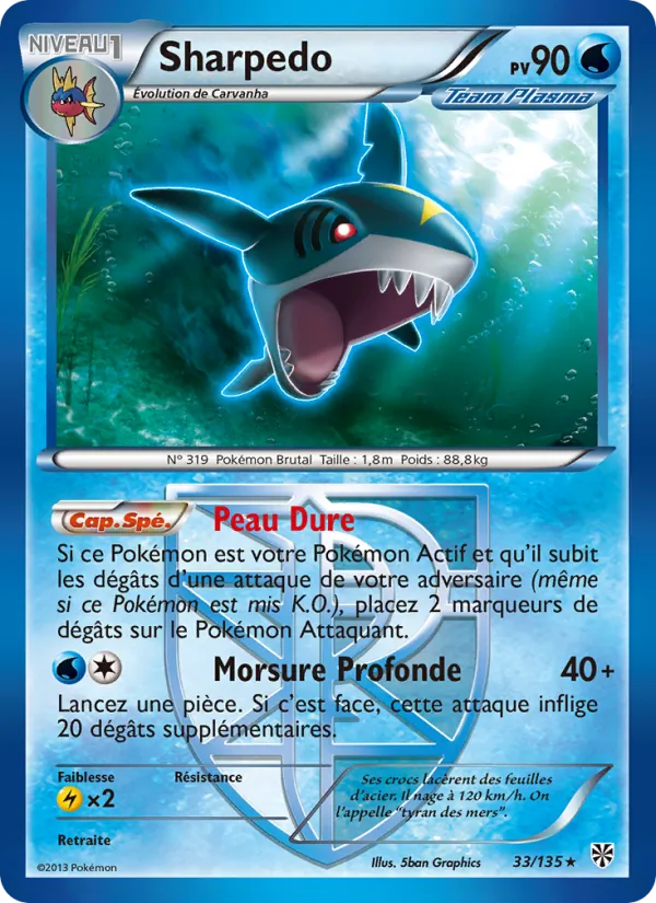 Sharpedo – Tempète Plasma 33