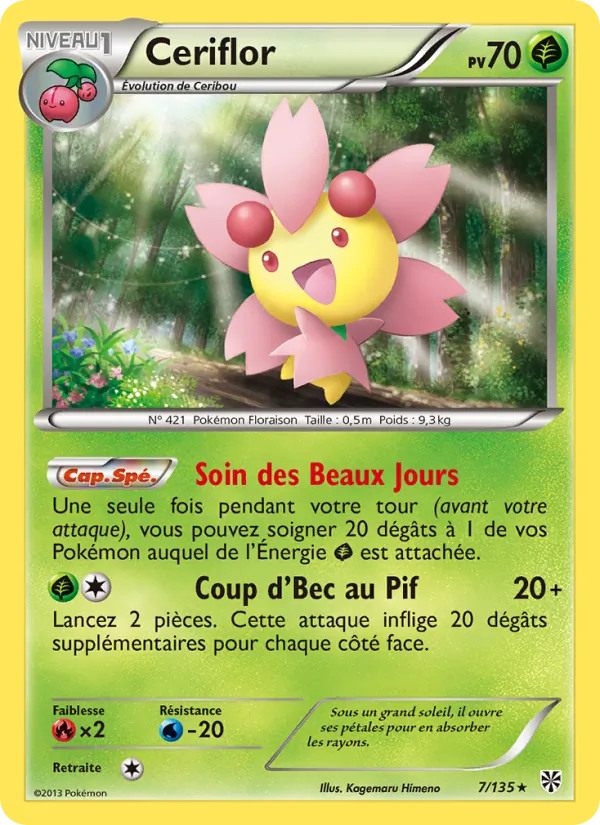 Ceriflor – Tempète Plasma 7
