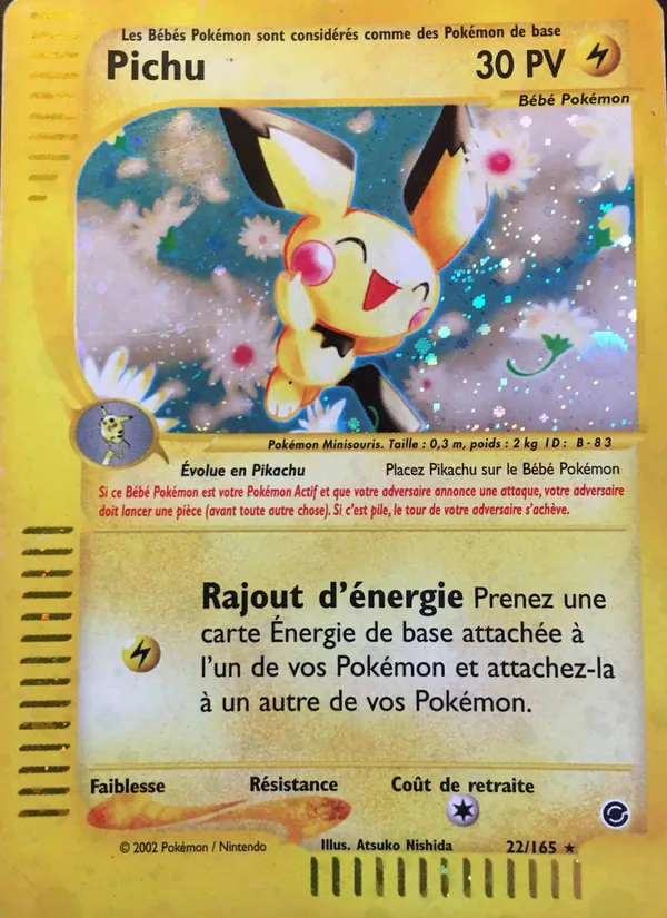 Pichu – Expedition 22