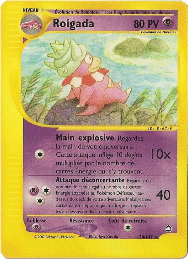 Roigada – Aquapolis 34