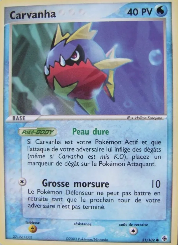 Carvanha – EX Rubis & Saphir 51