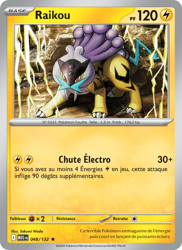 Raikou – Méga-Évolution 48