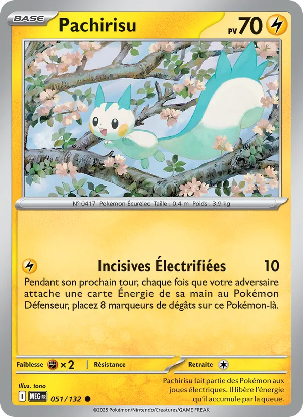 Pachirisu – Méga-Évolution 51