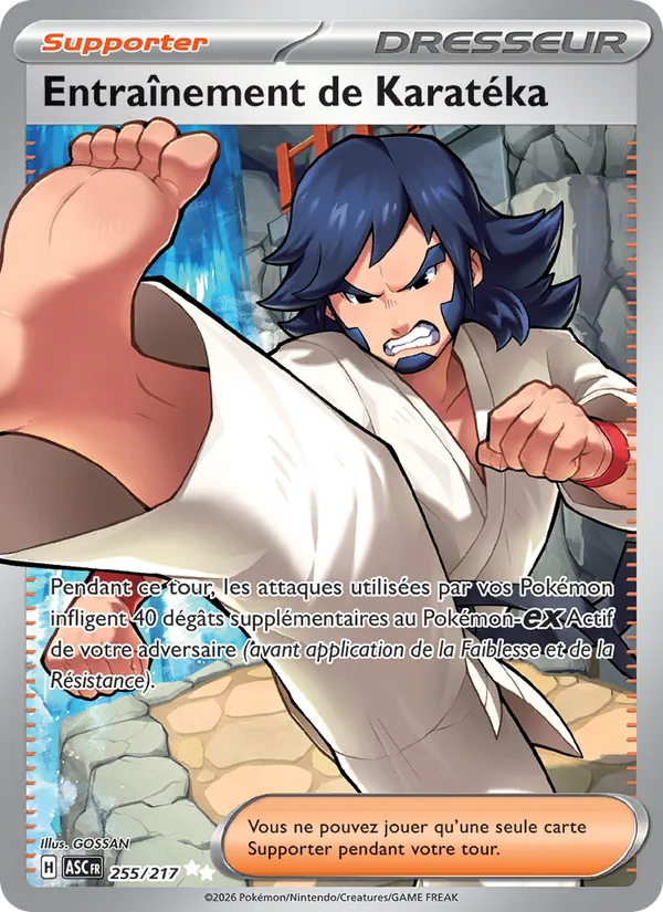 Entraînement de Karatéka – Héros Transcendants 255