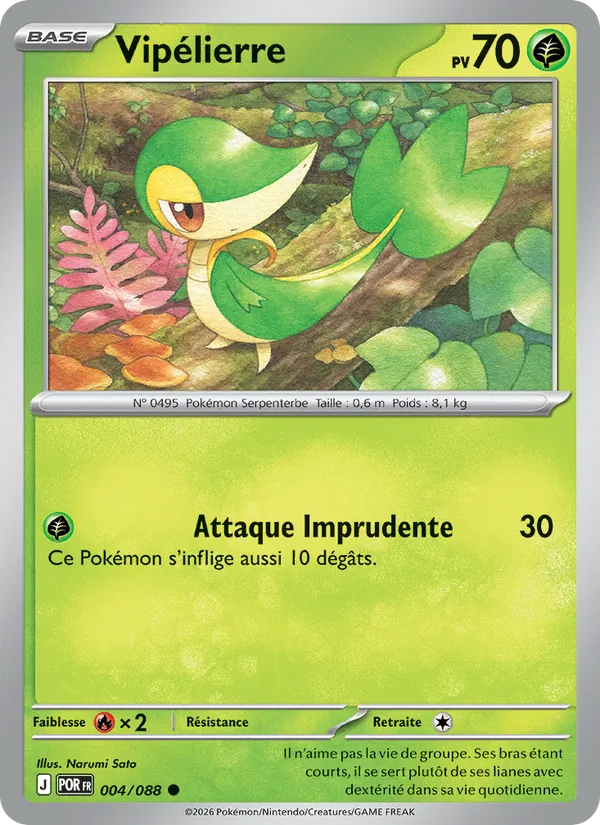 Vipélierre – Équilibre Parfait 4
