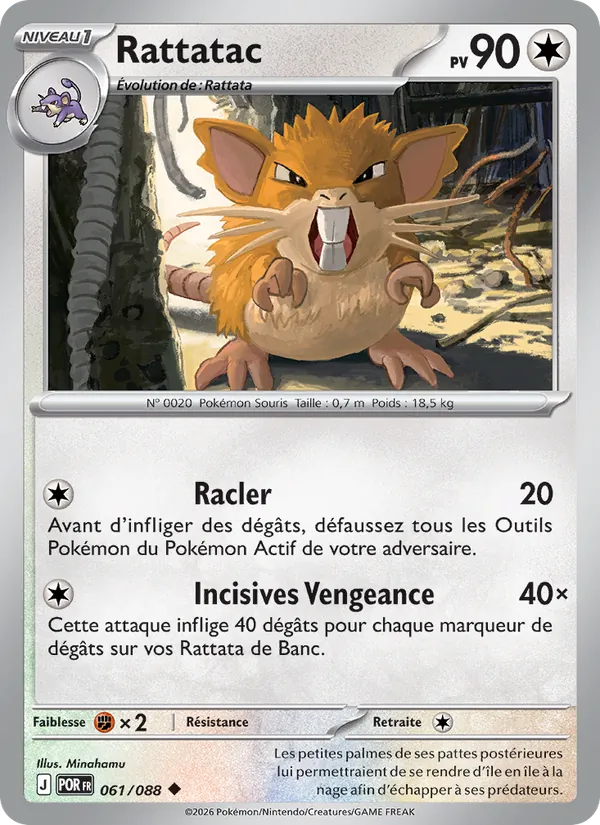 Rattatac – Équilibre Parfait 61