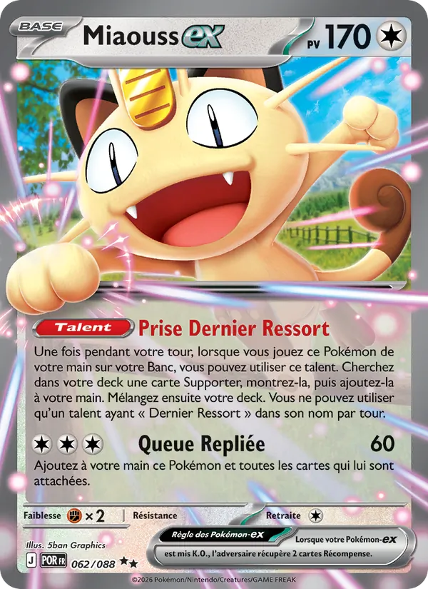 Miaouss-ex – Équilibre Parfait 62