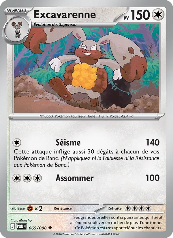 Excavarenne – Équilibre Parfait 65