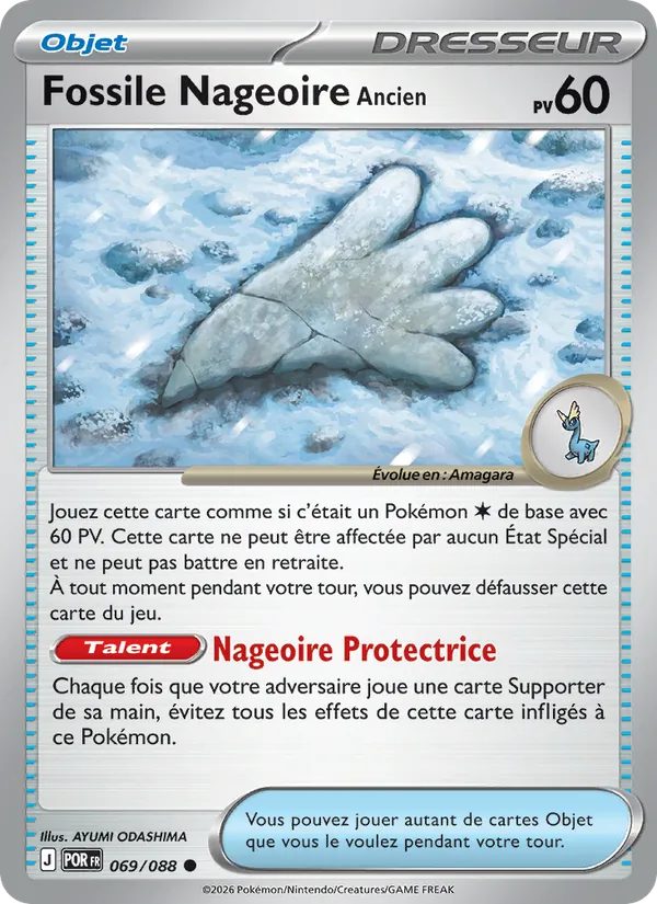 Fossile Nageoire Ancien – Équilibre Parfait 69