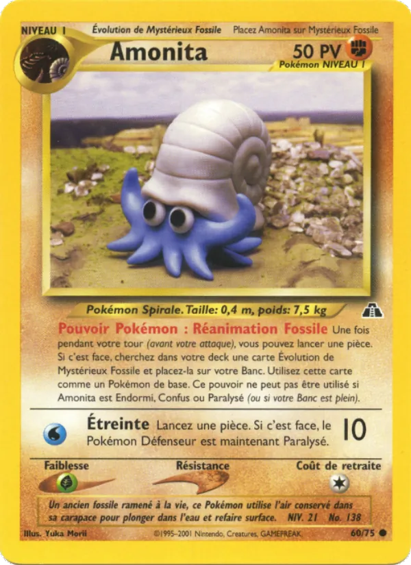 Amonita – Neo Discovery 60